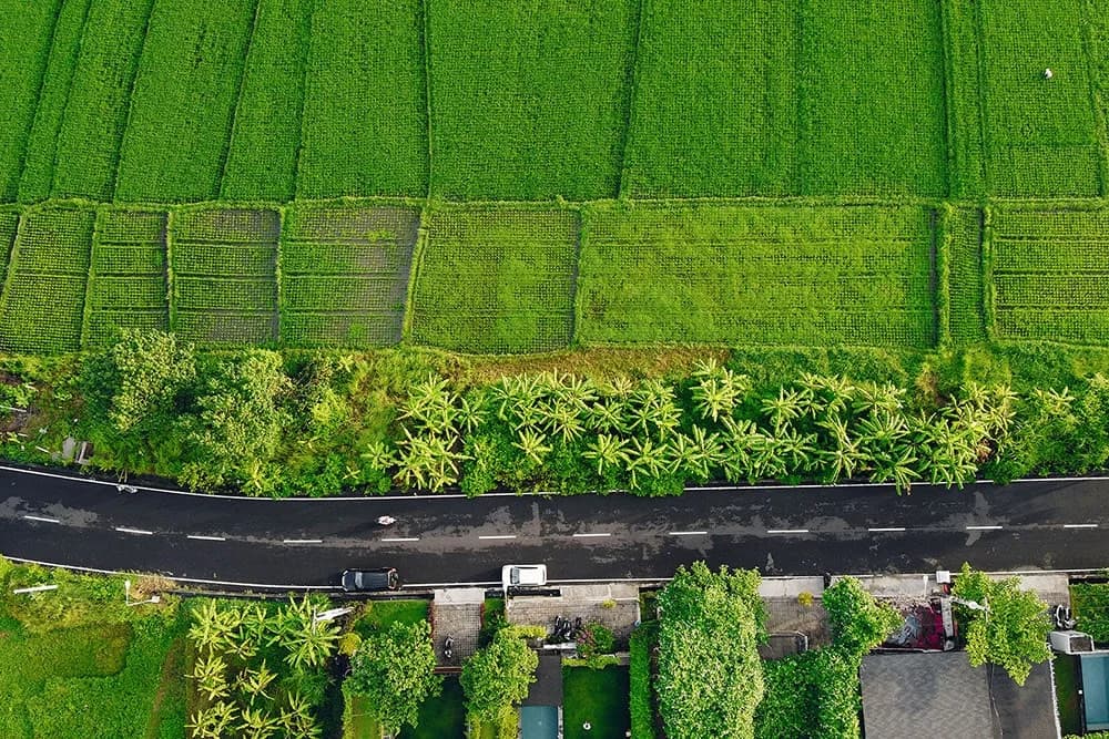 Bali land sourcing - find the right plot for your villa investment